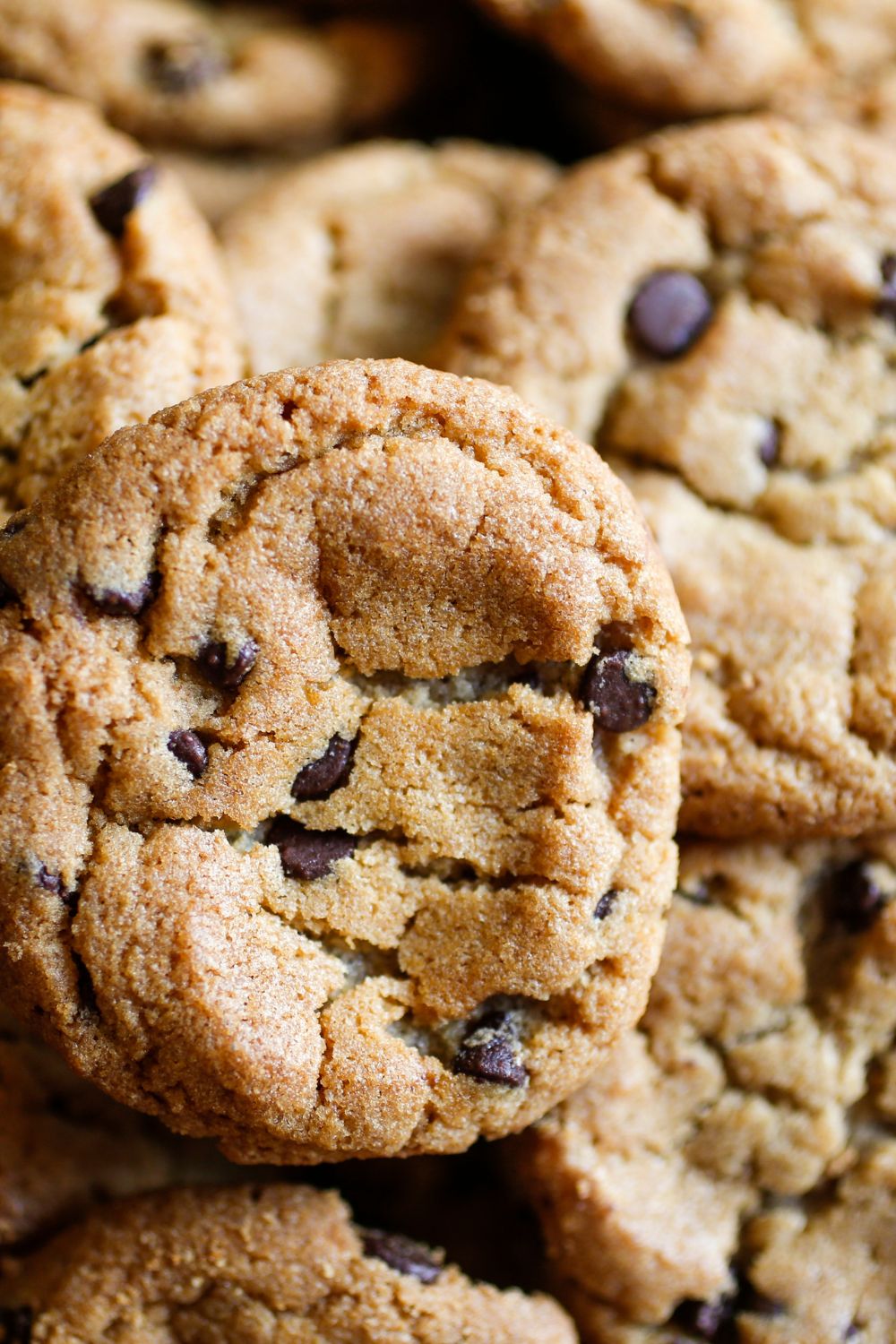 chocolate chip cookies