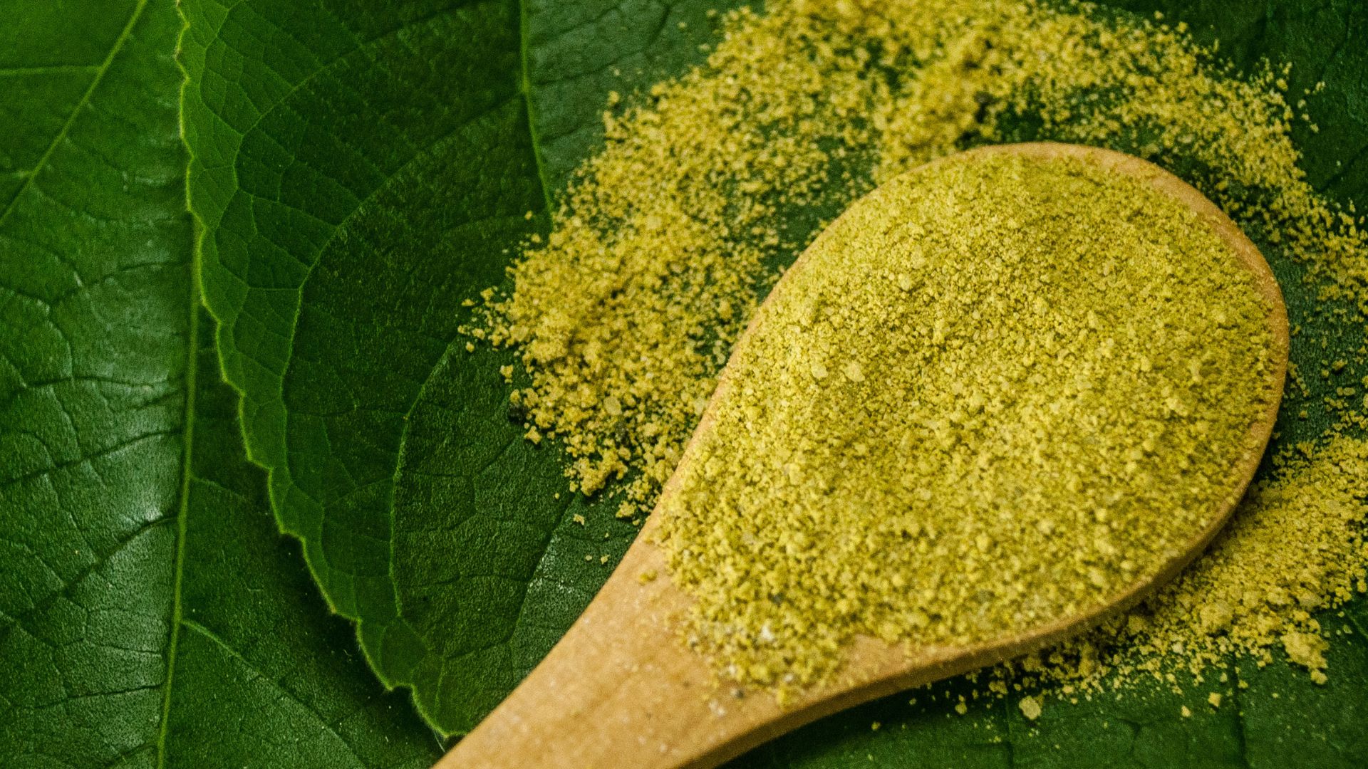 Close-up of Green Powder in Spoon on Leaves