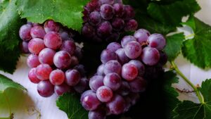 Grape Fruits